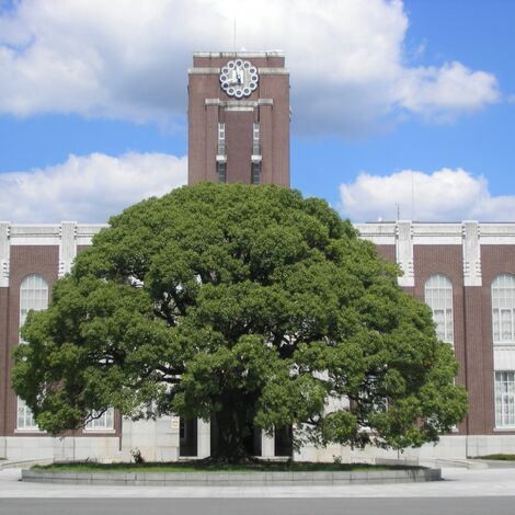 京大